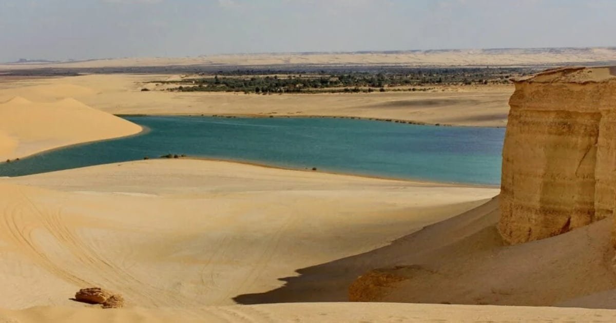 banner-image