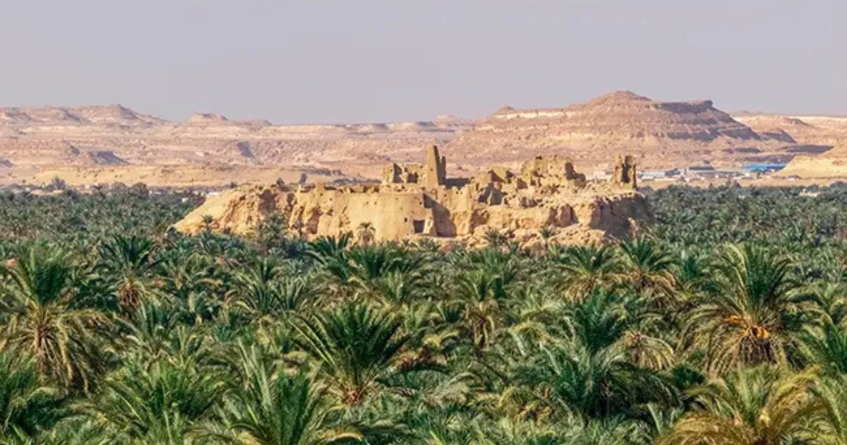 banner-image