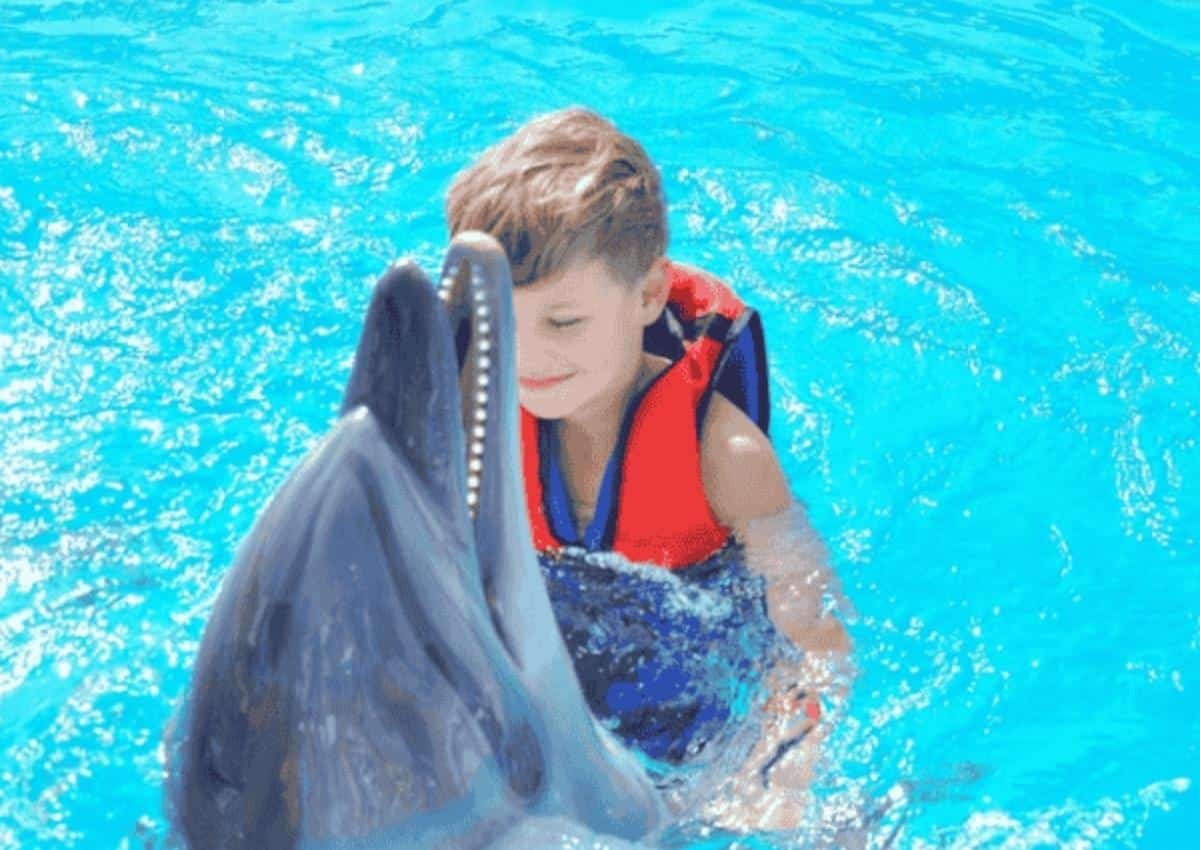 banner-image